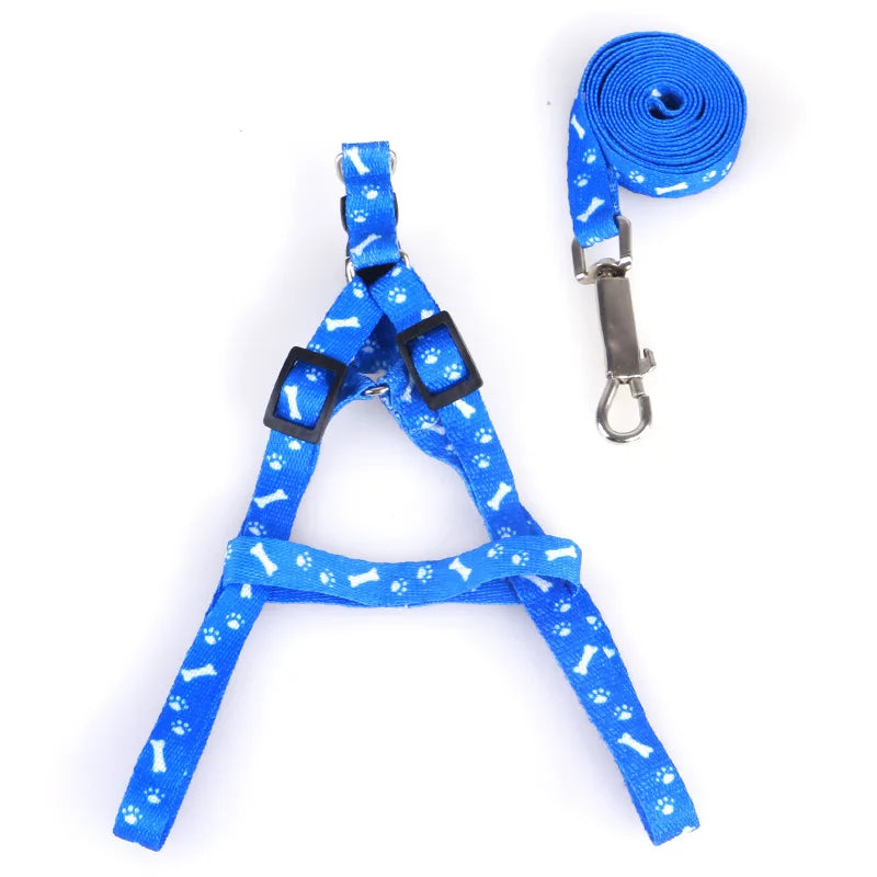 Small Dog Lead Puppy Leashes