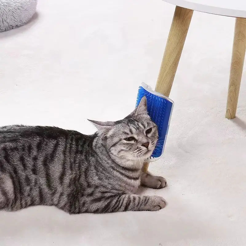 Cat Massage Tool Pet Hair Removal Massage - ProPawPet.com