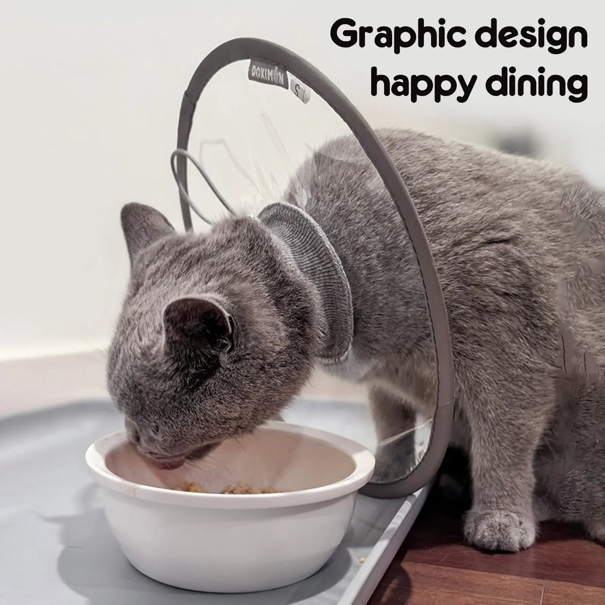  Pet Collar Transparent and Comfortable - ProPawPet.com