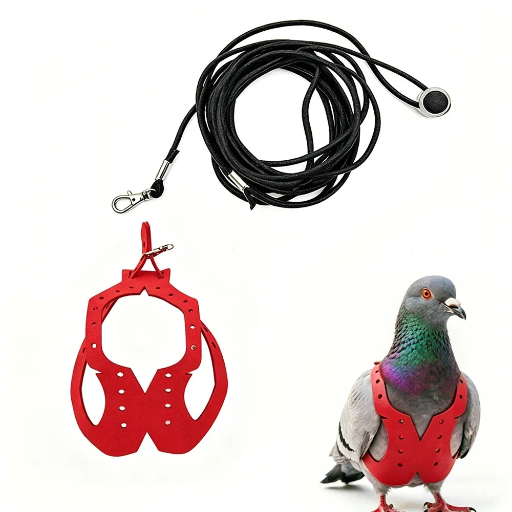 Ultra Lightweight 4g Adjustable Parrot - ProPawPet.com