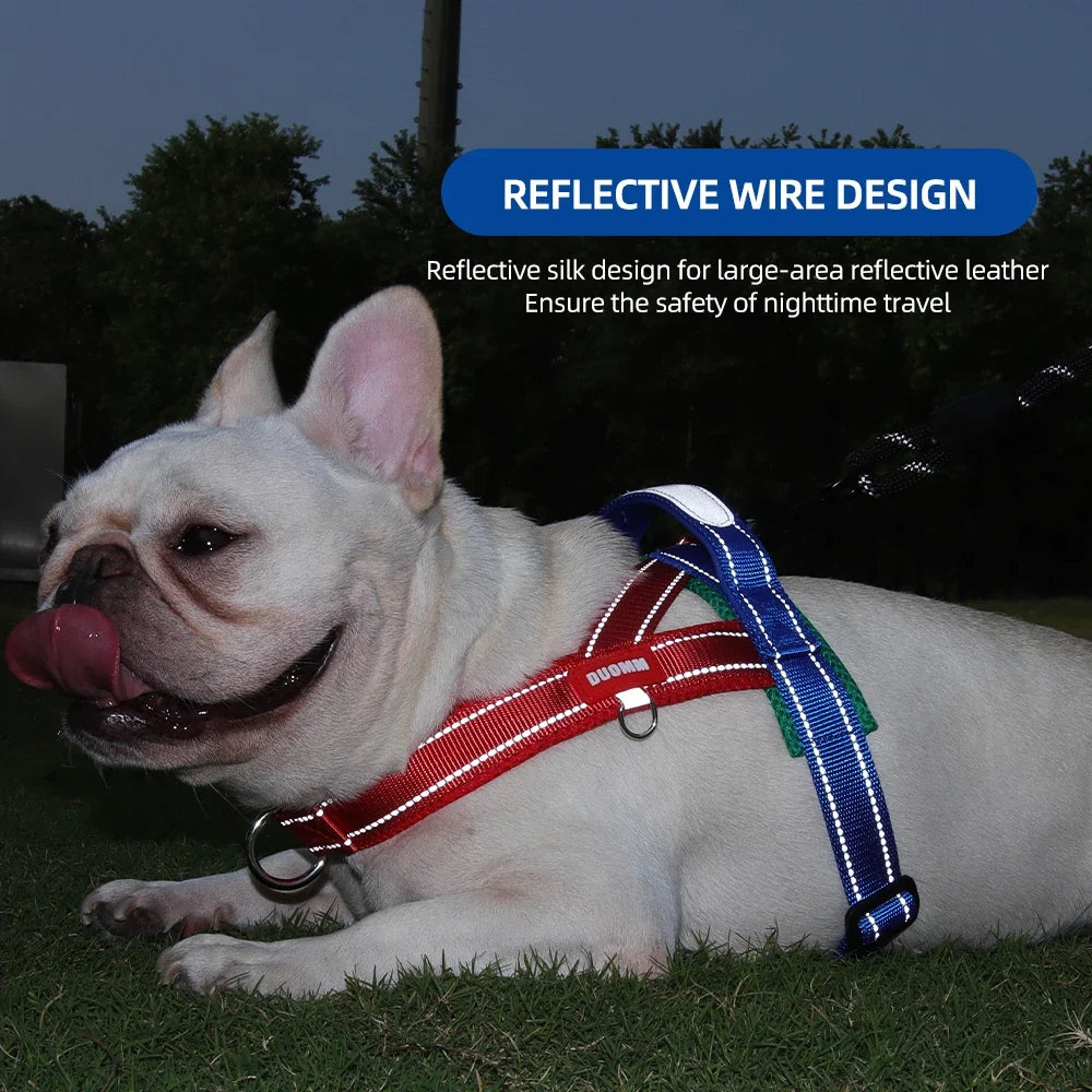 Dog Harness No Pull Saddle-Style Small - ProPawPet.com