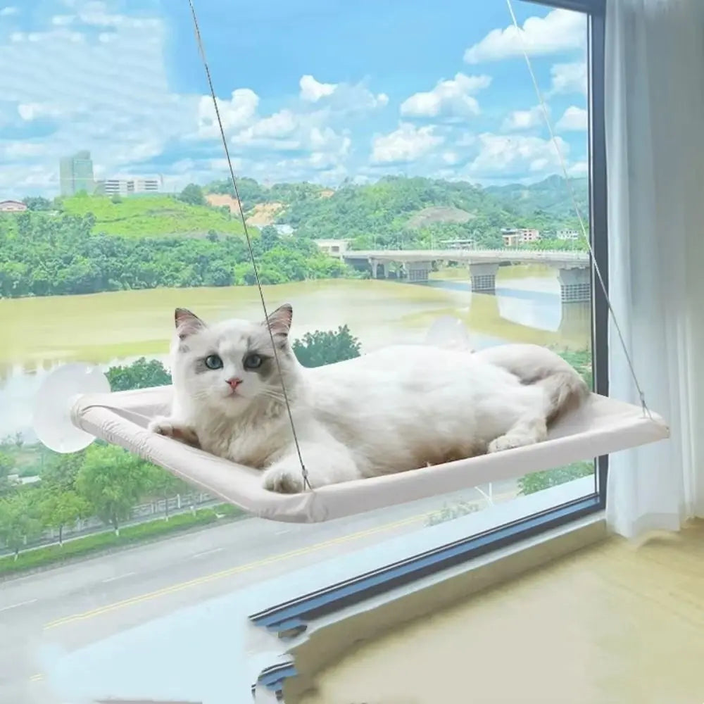 Cat Shelves Creative Cat Hanging Bed Cozy - ProPawPet.com