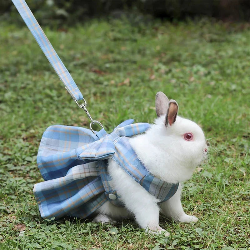 Rabbit JK Dresses and Leash Sets Mesh Plaid - ProPawPet.com