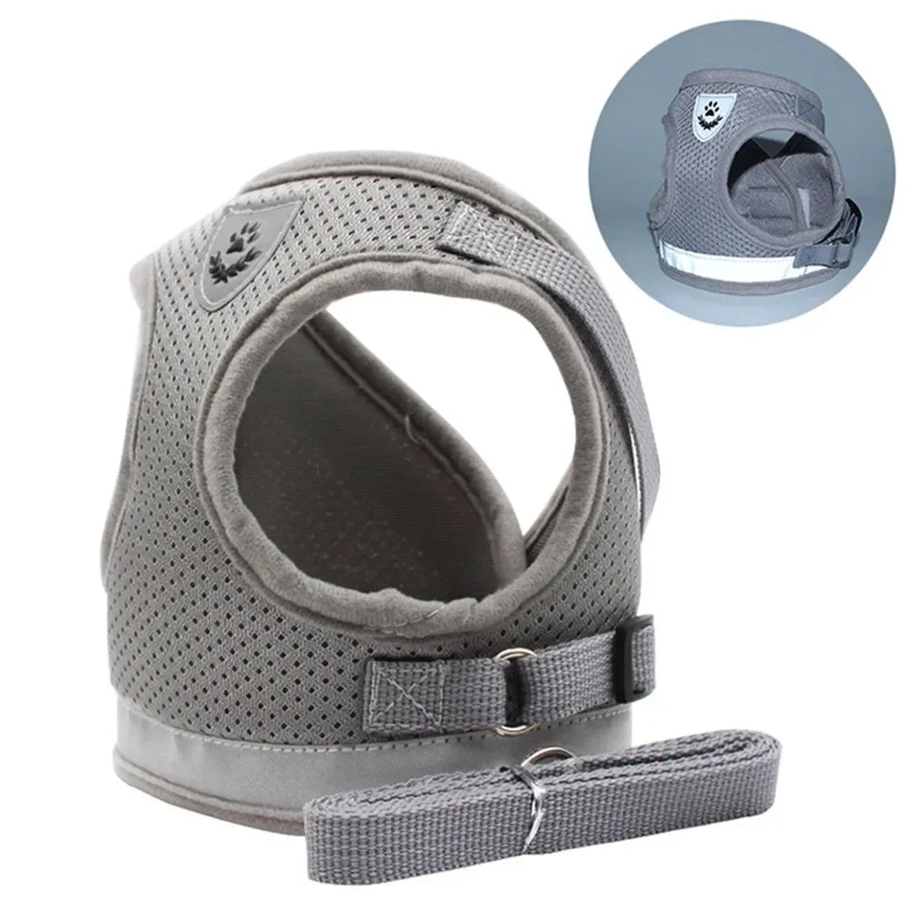 Cat Harness Lead Leash Set Adjustable - ProPawPet.com