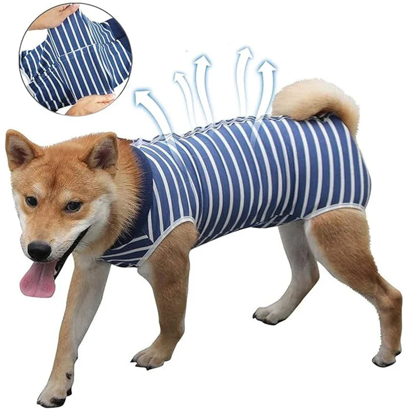 Dog Recovery Suit Abdominal Wound Surgical - ProPawPet.com