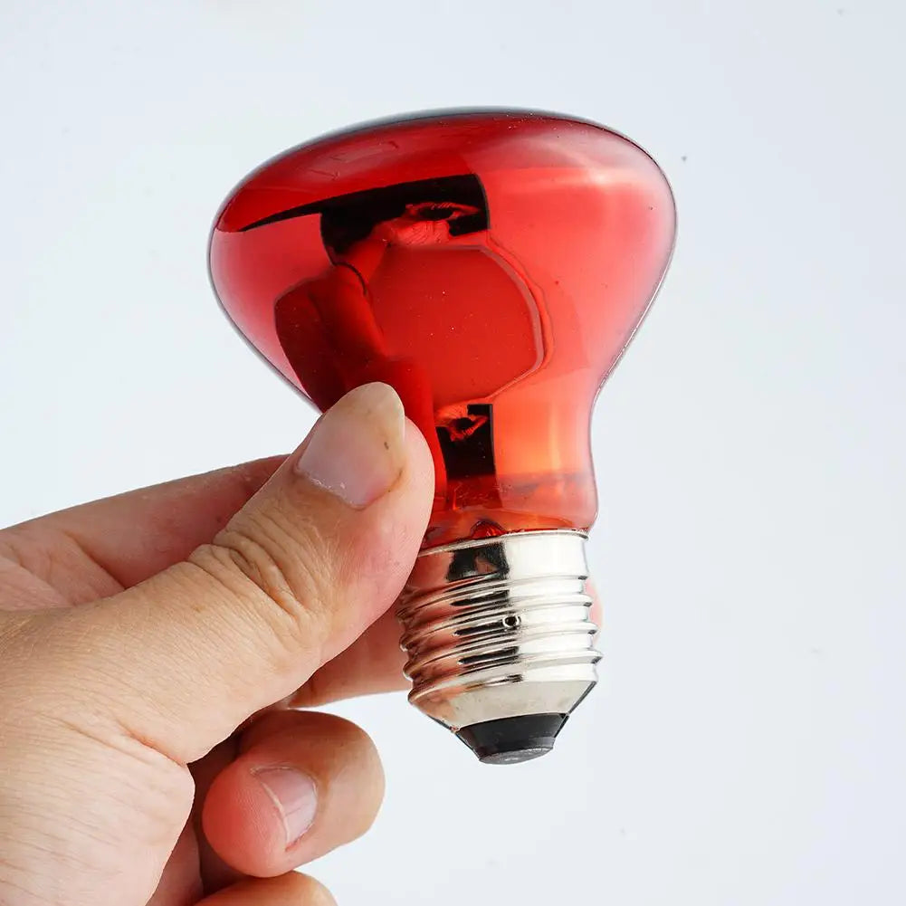 25W-100W E27 Pet Red Heating Lamp Day Night - ProPawPet.com