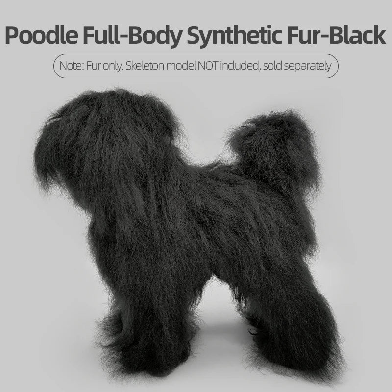 Pet Dog Model Hair Beautician Practice - ProPawPet.com