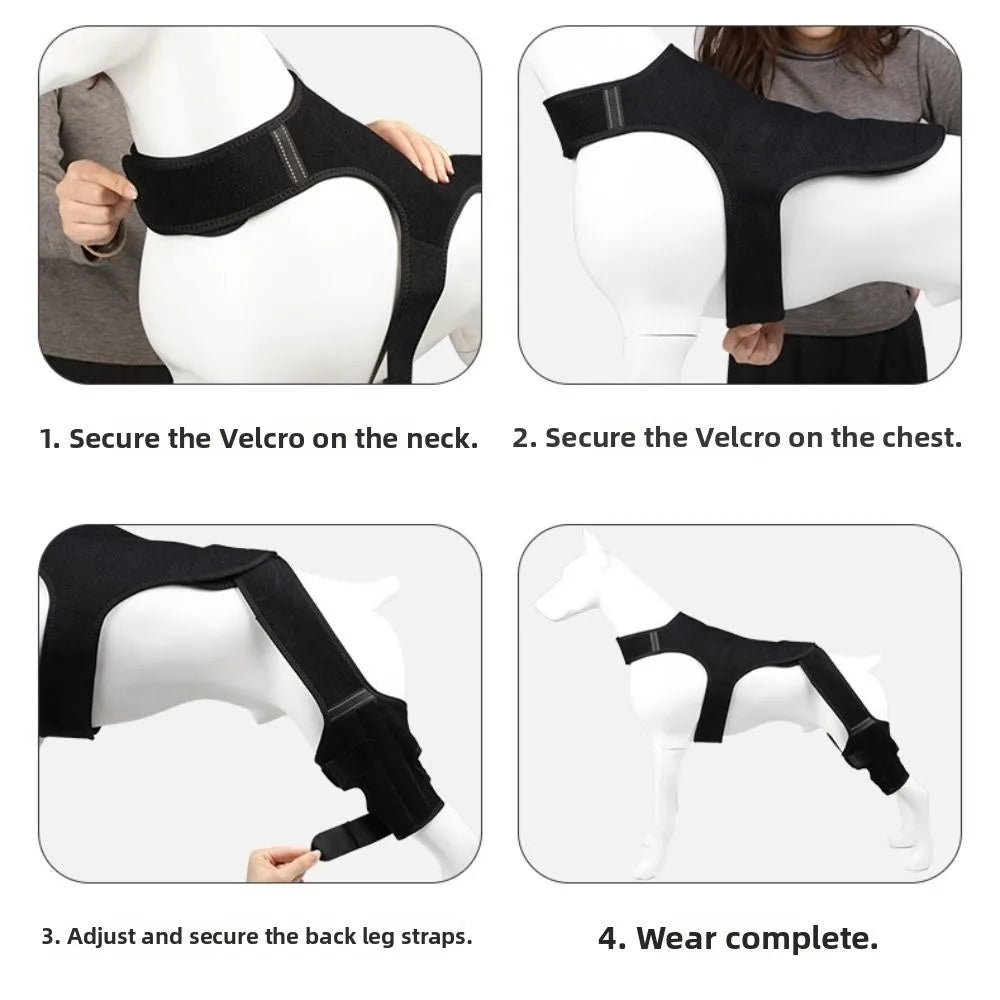 Adjustable Dog Rear Leg Brace Reflective - ProPawPet.com