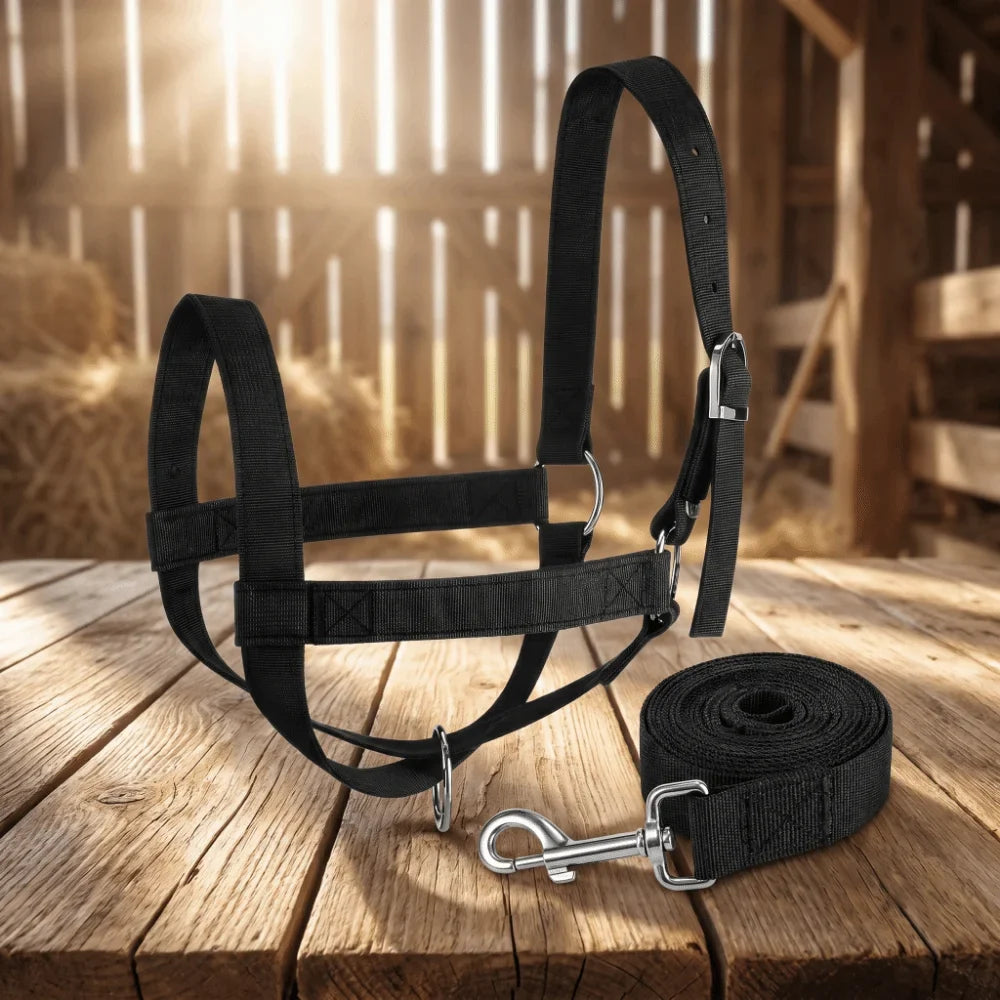 Adjustable Cow Halter with Lead Heavy Duty - ProPawPet.com