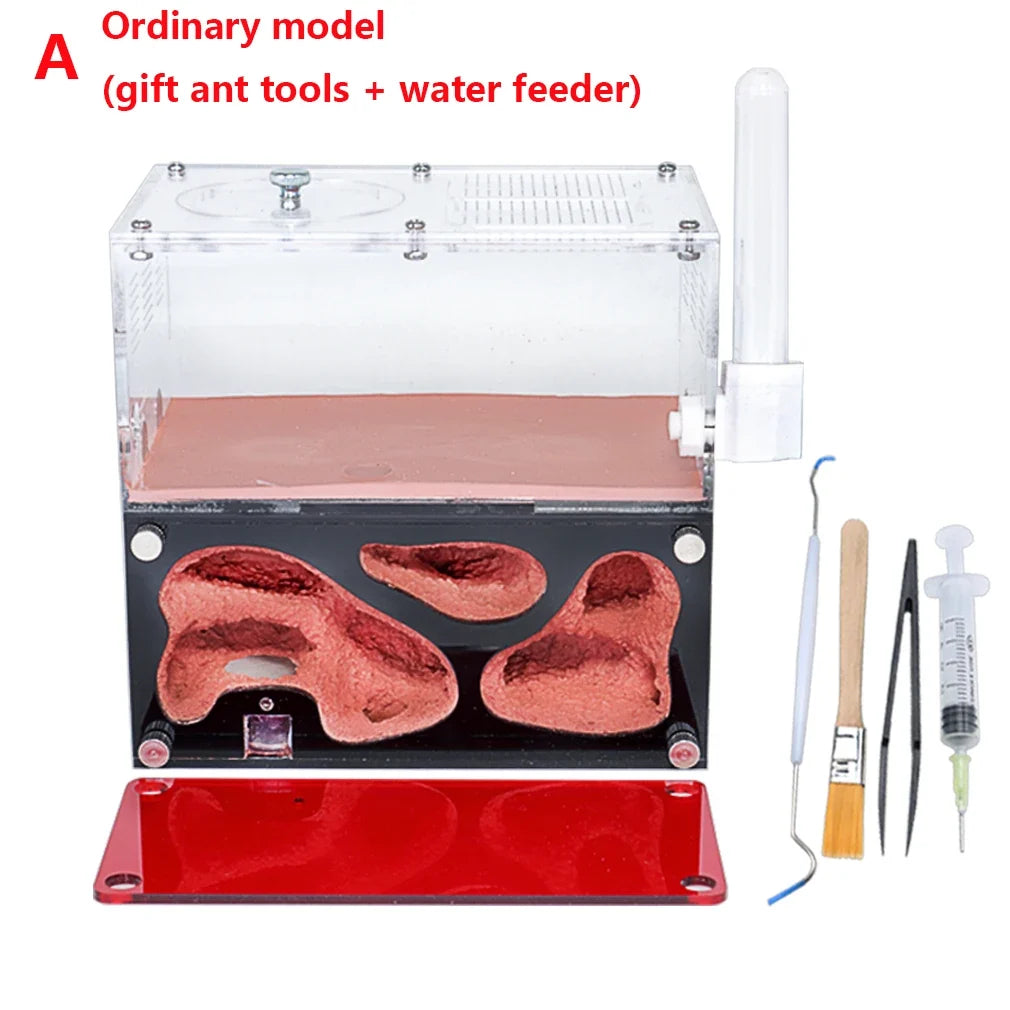 Acrylic Ant Farm Temperature Control Concrete Nest – Coops, Nests & Incubators