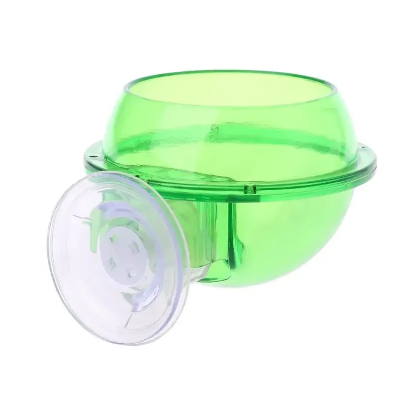 Reptile Pet Feeding Bowl Clear Anti-escape - ProPawPet.com