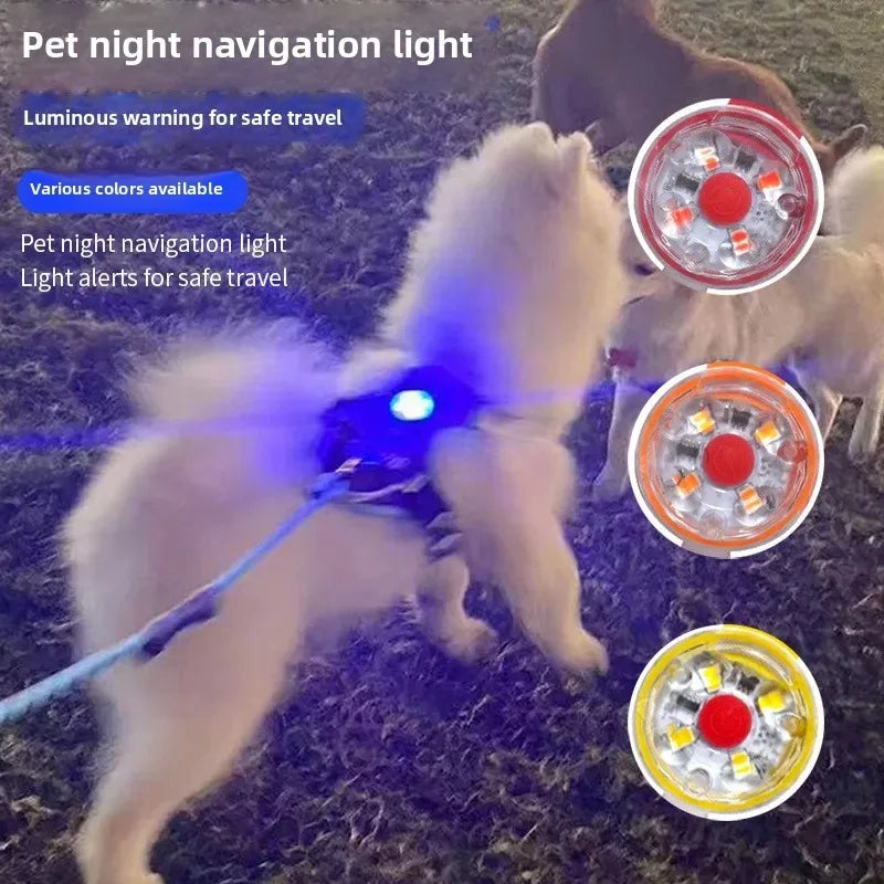 LED Light Dog Collar USB Charging Glowing - ProPawPet.com