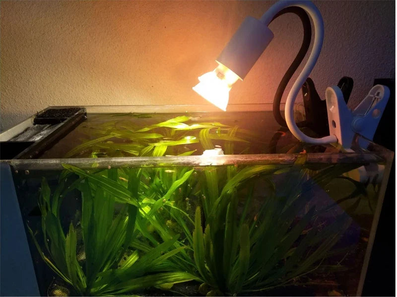 220V Turtle Basking Lamp With 25\50\75W - ProPawPet.com