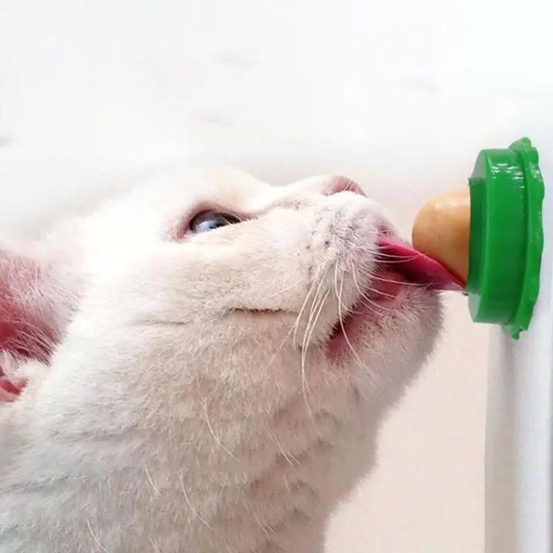 Cat Licking Catnip Ball – photo 2