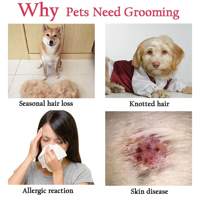 Stainless Pet Deshedding Brush Dog Hair - ProPawPet.com