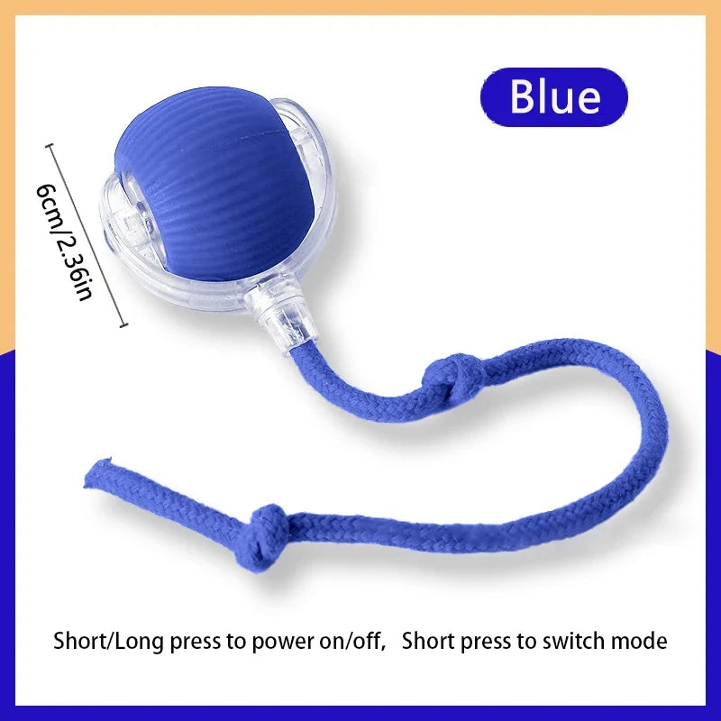 Cat Interactive Ball – Cat Supplies