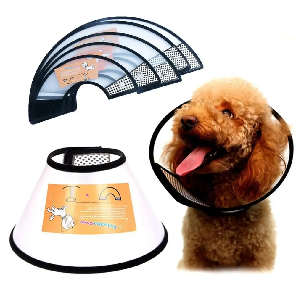 Medical Cats Dogs Health Surgery Wound - ProPawPet.com