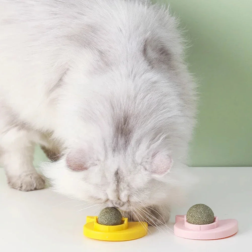 Cat Mint Ball Rotating Ball Wall Cat Toy - ProPawPet.com