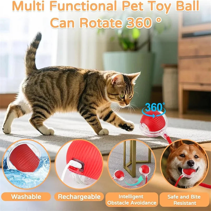 Dog Cat Interactive Ball Toy Automatic - ProPawPet.com