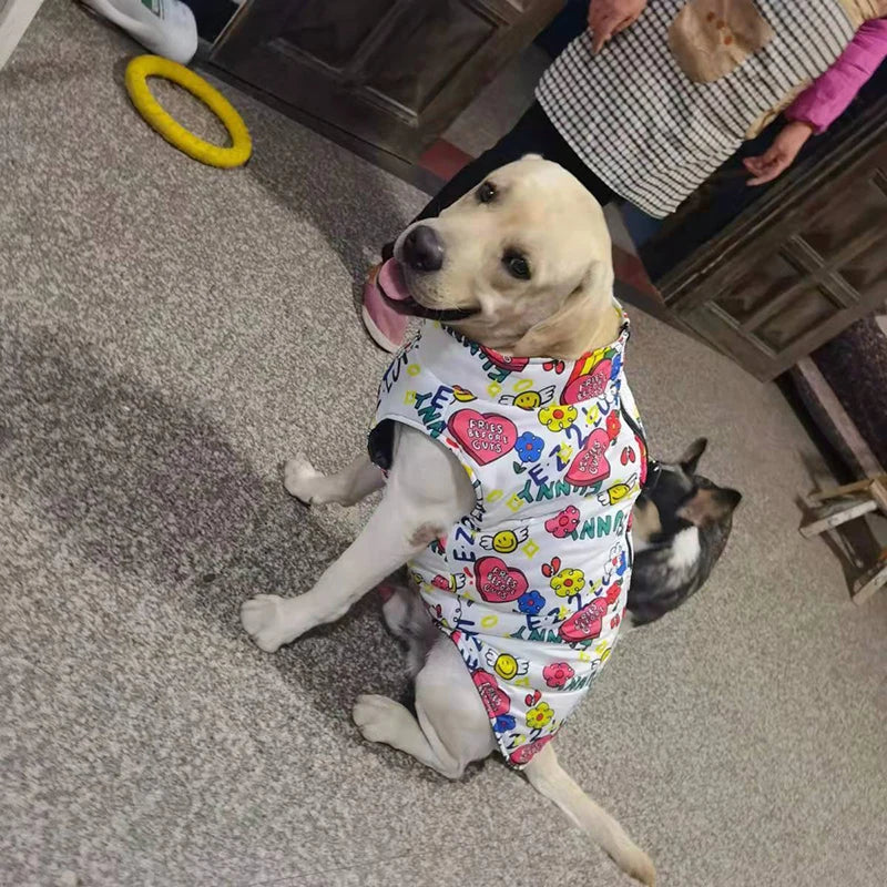 Fashion Big Dog Waterproof Jacket Autumn - ProPawPet.com