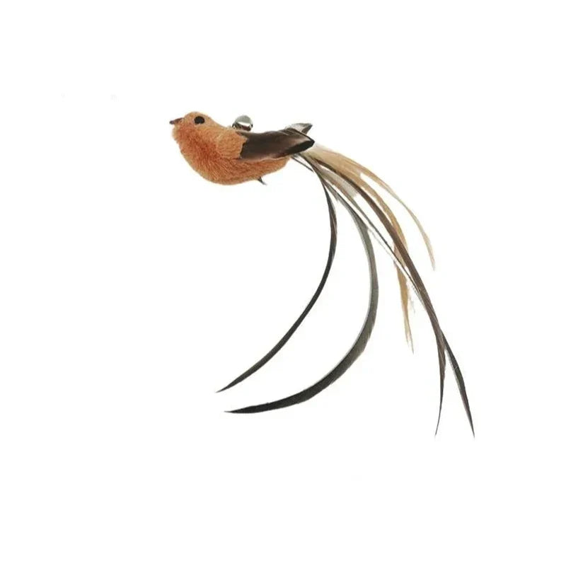 Cat Toys Self-sexy Feather Suction Cup – Cat Supplies