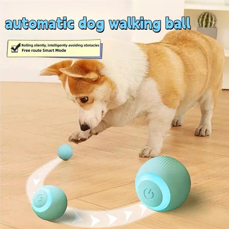 Cat Interactive Ball Smart Pet Cat Toys - ProPawPet.com