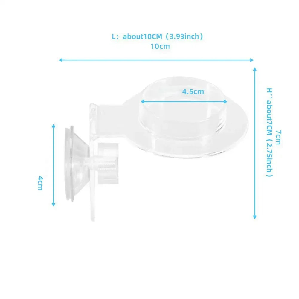 Acrylic Climbing Pet Food Dish – Reptile Supplies