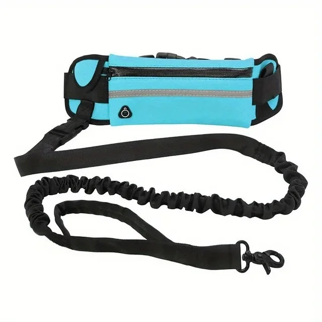 Personalized Dog Walking Collar Free Hands Leather Reflective, Adjustable