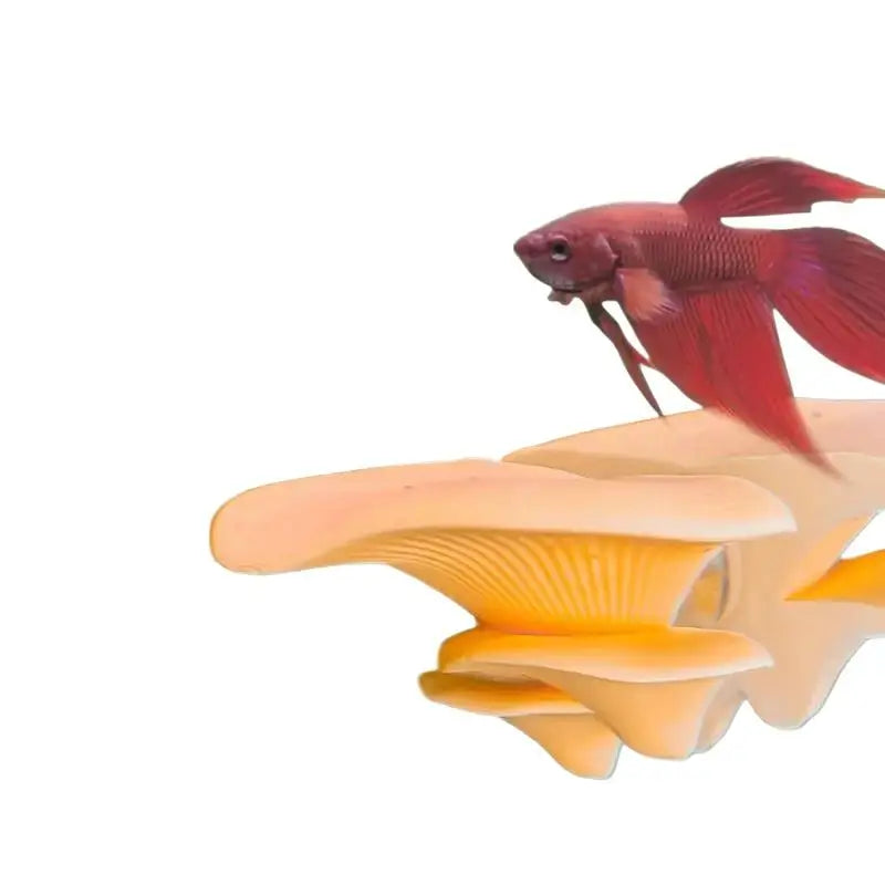 Mushroom Hammock Betta Fish Rest Bed - ProPawPet.com