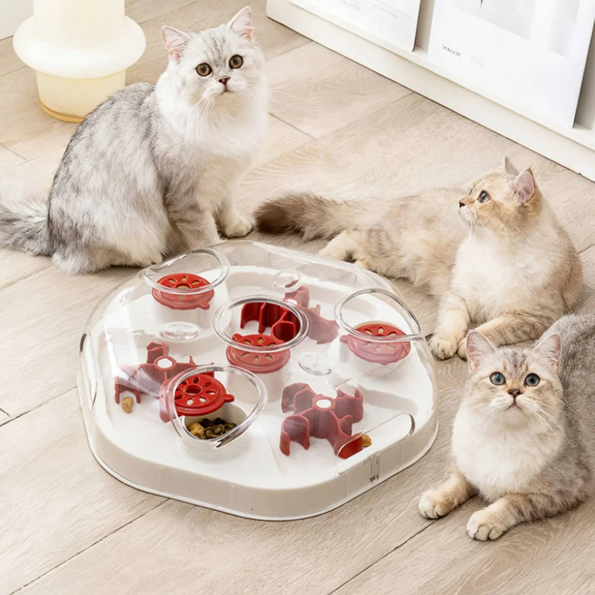 Interactive Feline Brain-Teaser Toy Mental - ProPawPet.com
