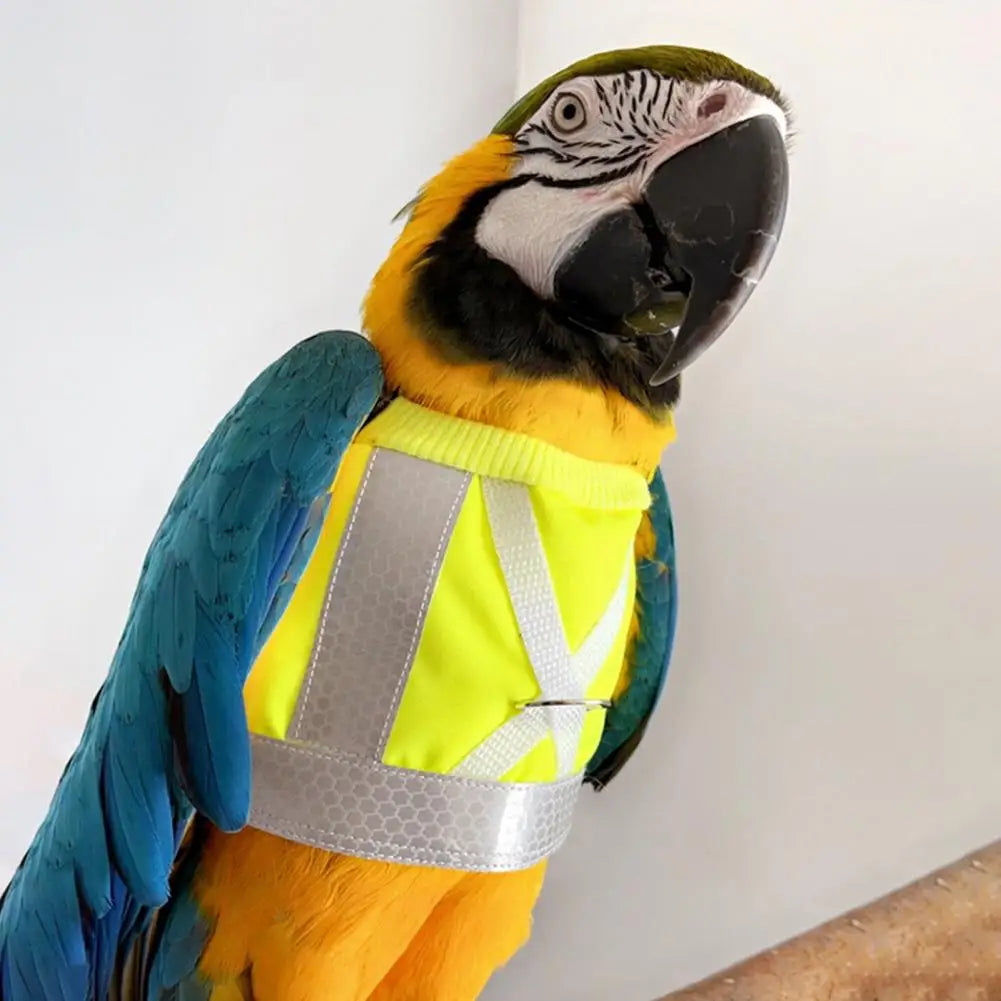 Bird Flight Harness Vest Parrot Suit Leash - ProPawPet.com