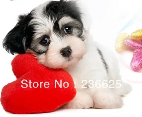 20 Pcs/Lot Pet Dog Finger Grooming Floor - ProPawPet.com
