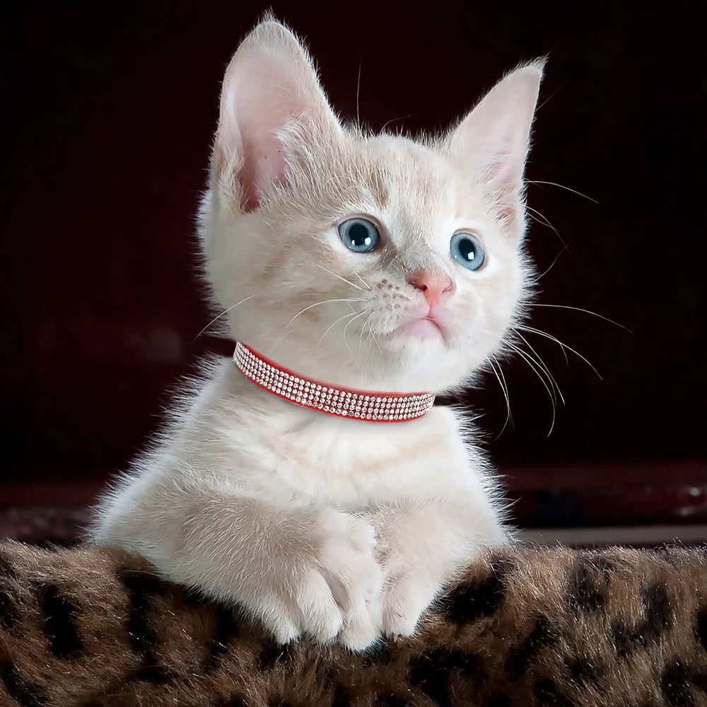 Soft Pink Suede Leather Cat Collar - Cute - ProPawPet.com
