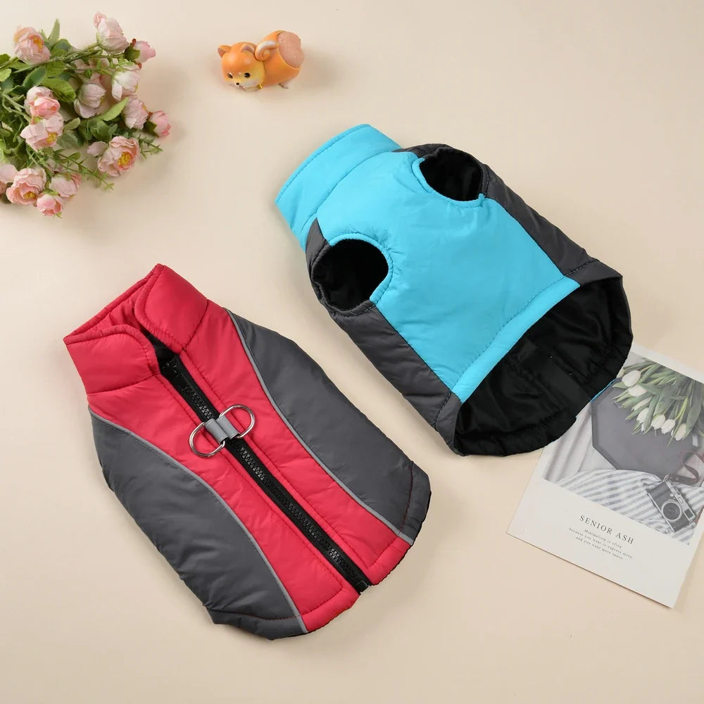 Winter Dog Jacket Warm Waterproof Clothes - ProPawPet.com
