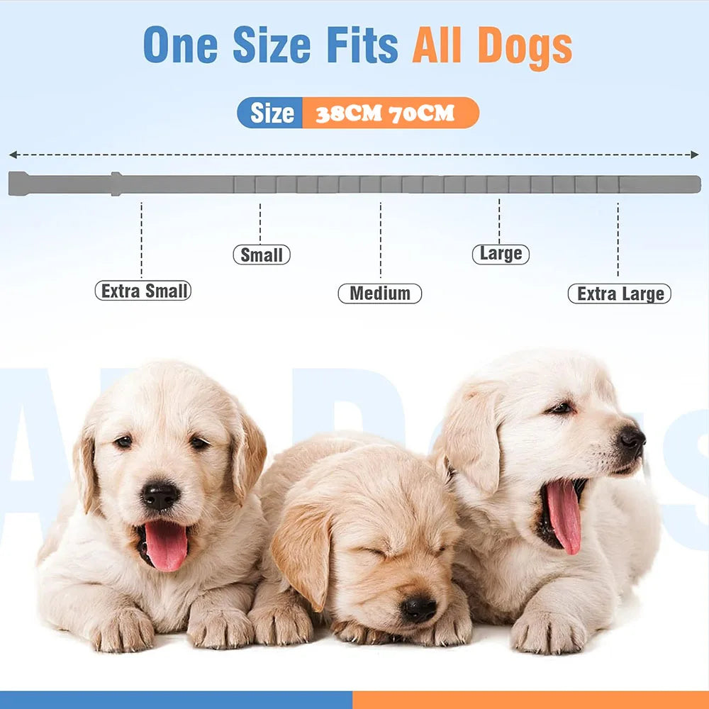 Natural Dog Pheromone Calm Collars Calming - ProPawPet.com