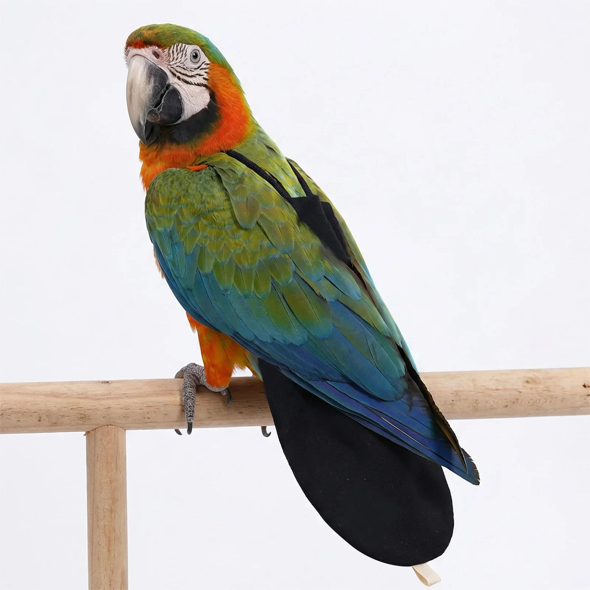 Cute Pet Bird Diaper Flight Suit Washable - ProPawPet.com