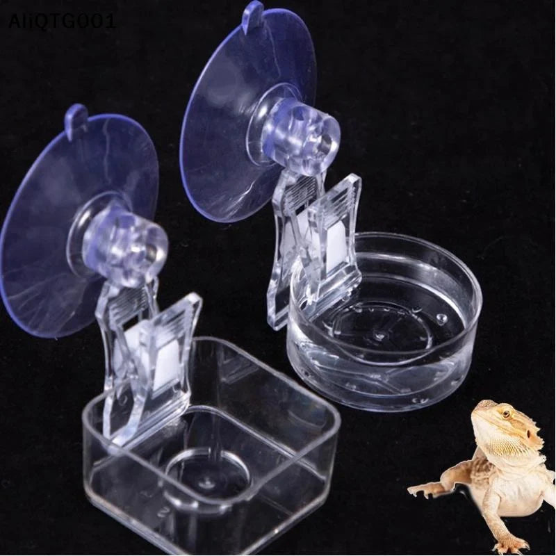 Reptile Water Food Bowl for Geckos Lizards - ProPawPet.com