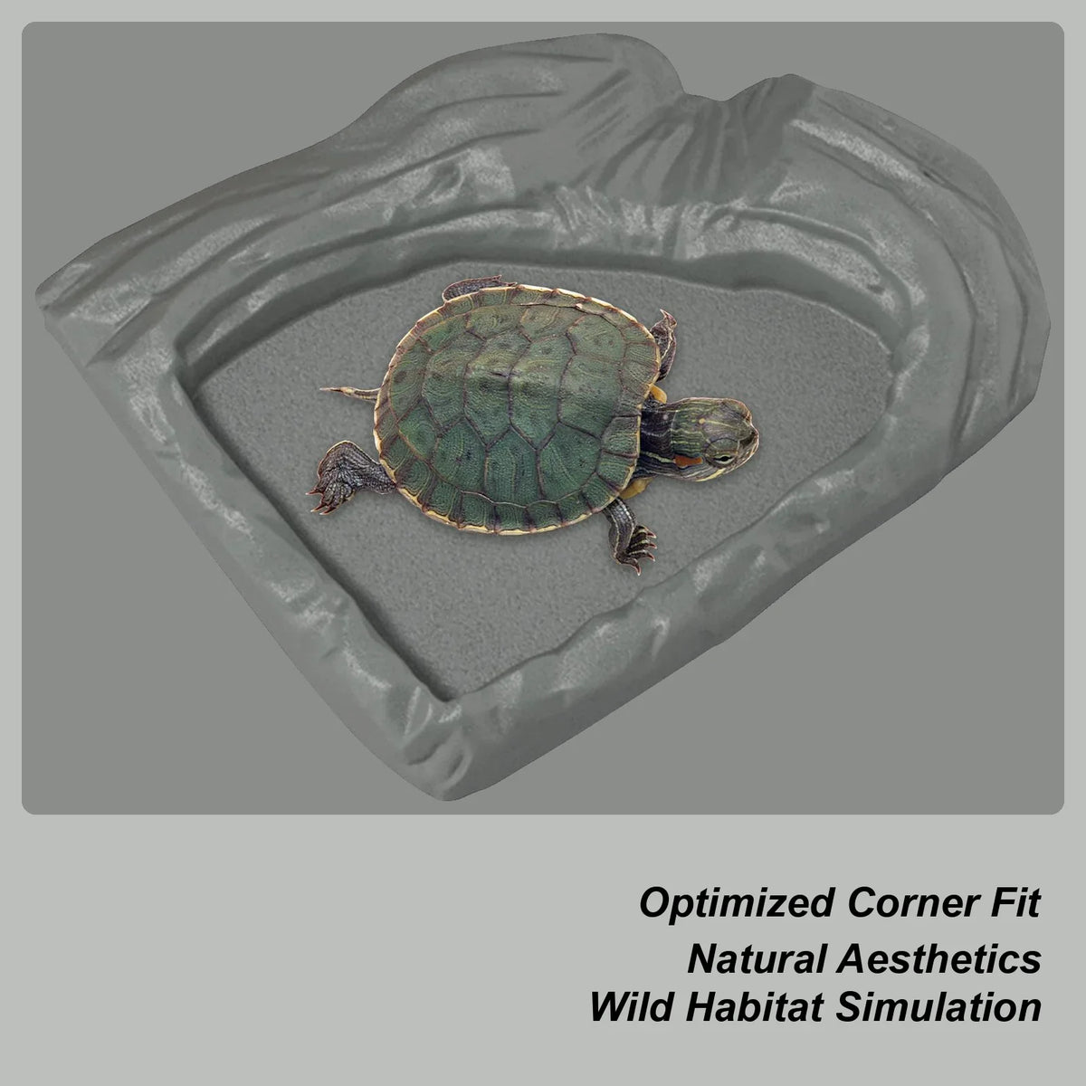 Tortoise Water Dish Reptile Bath Basin - ProPawPet.com