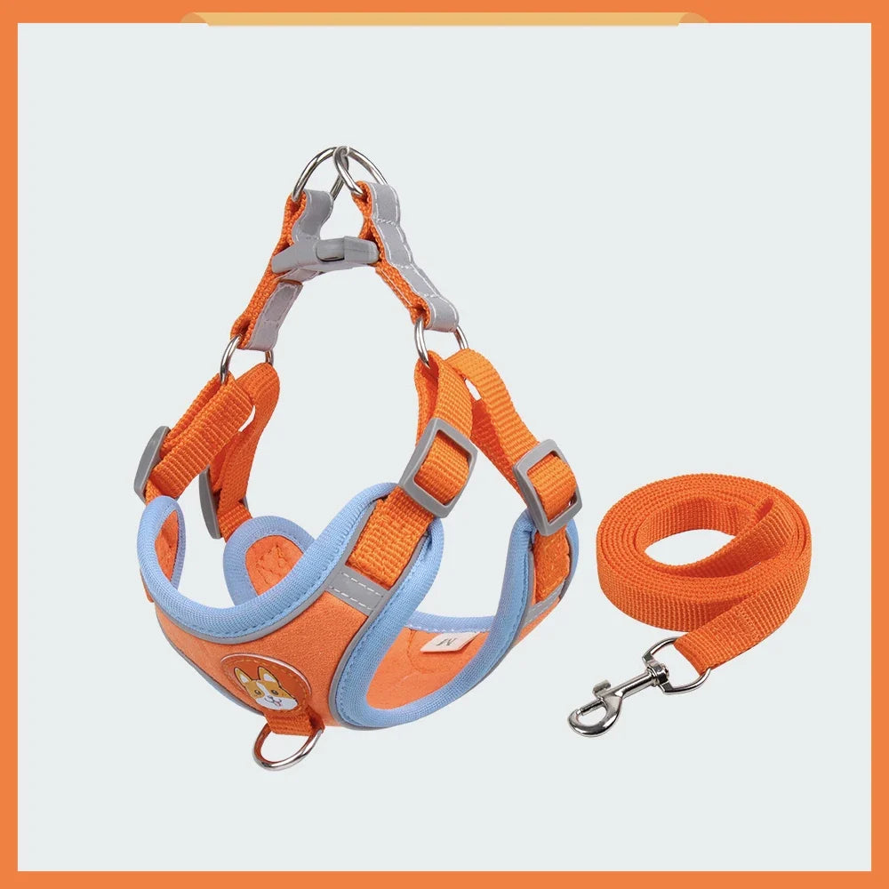 Cat Harness Small Dog Leash Pomeranian Puppy - ProPawPet.com