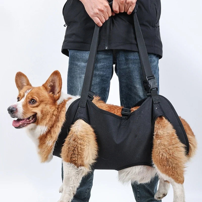 Dog Body Support Dog Lift Harness for - ProPawPet.com