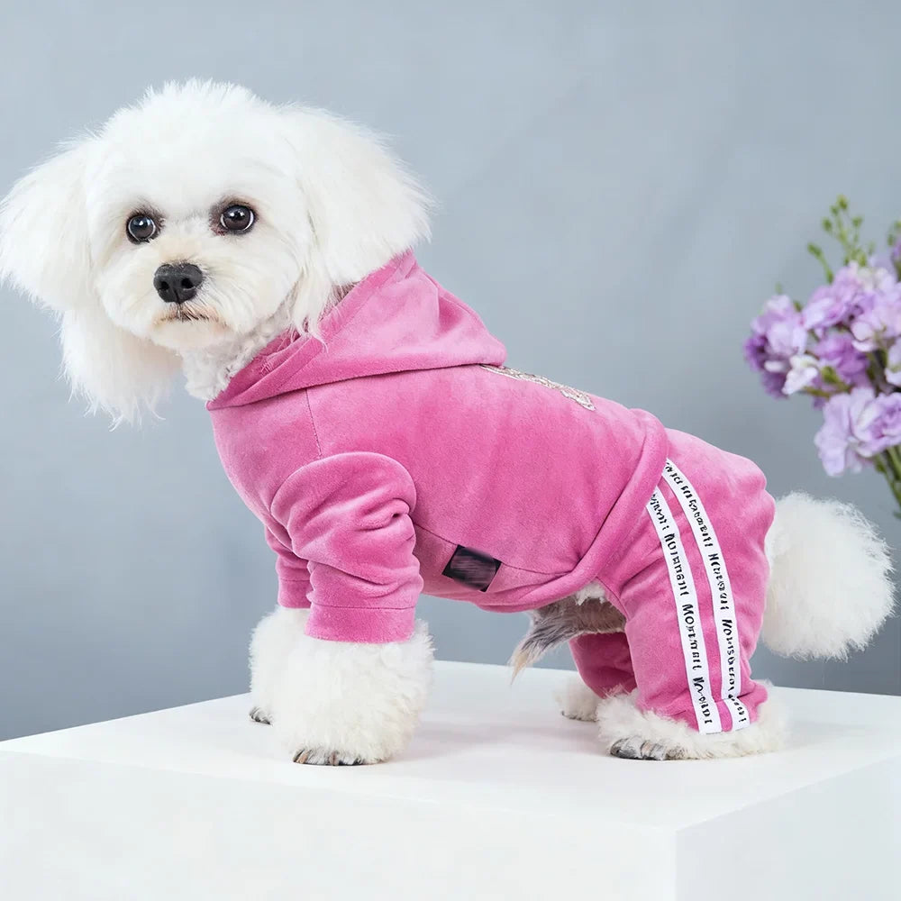 Girl Dog Clothes for Small Dogs Cute Outfits - ProPawPet.com