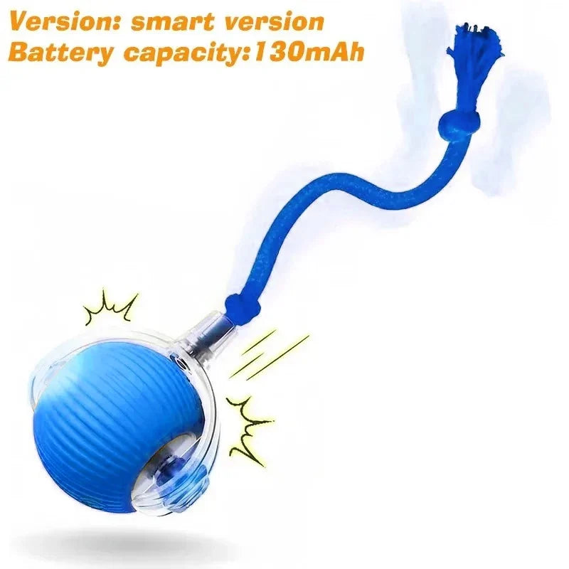 Pet Smart Interactive Ball Rechargeable Cat - ProPawPet.com