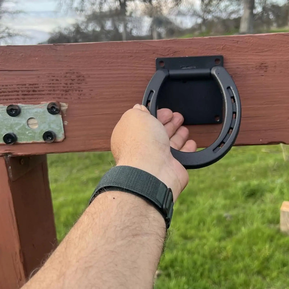 Horse Tie Ring Hitching Rings Tack Barn - ProPawPet.com