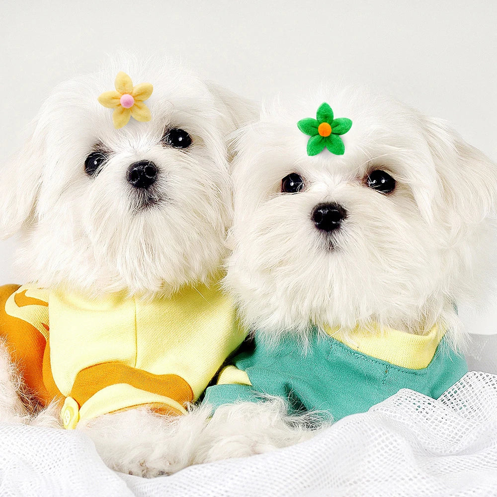 10/20pcs Flower Shape Dog Hair Bows Dog Bow - ProPawPet.com