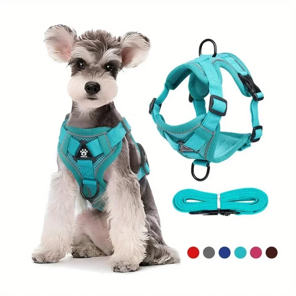 No Pull Dog Harness and Leash Set Adjustable - ProPawPet.com