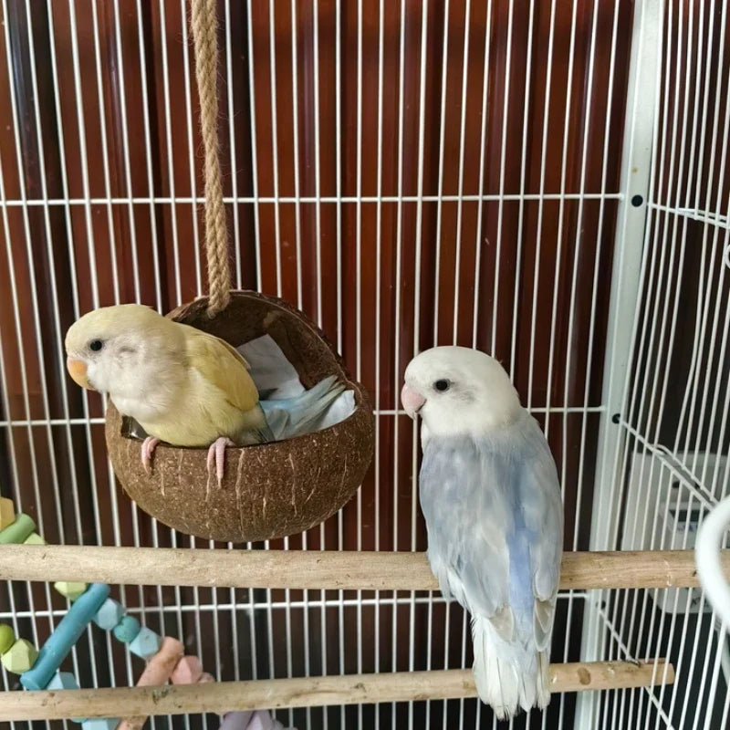 Winter Pet Bird Breeding Nest Coconut House - ProPawPet.com