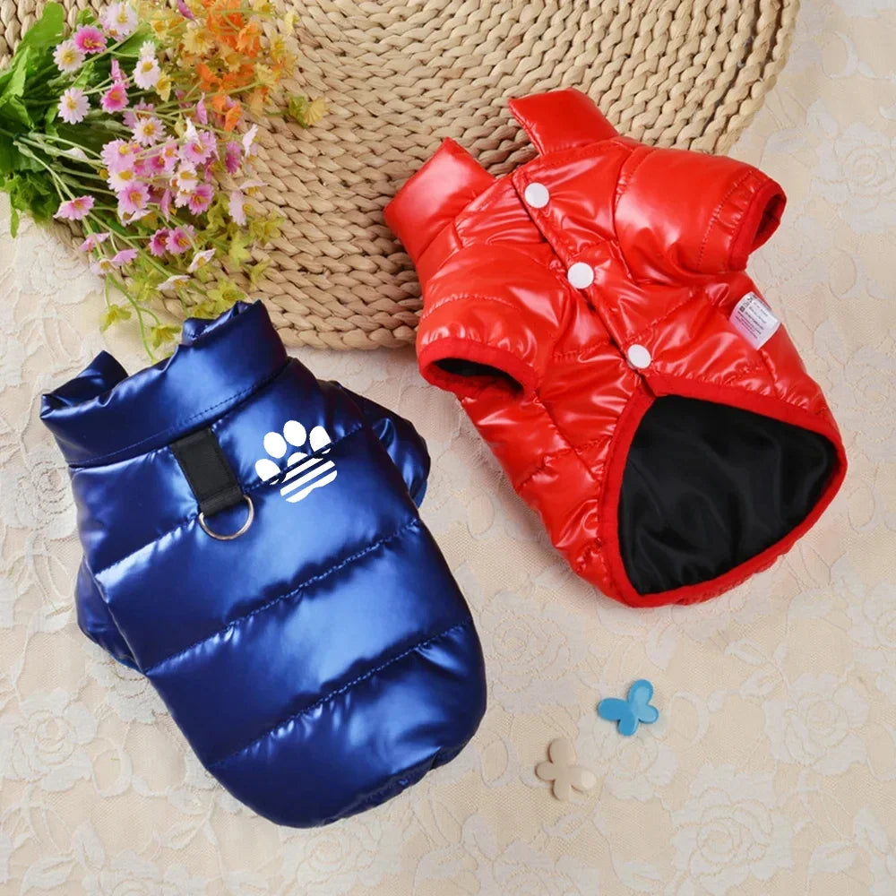 Dog Clothes for Small Dogs Puppy Jacket - ProPawPet.com