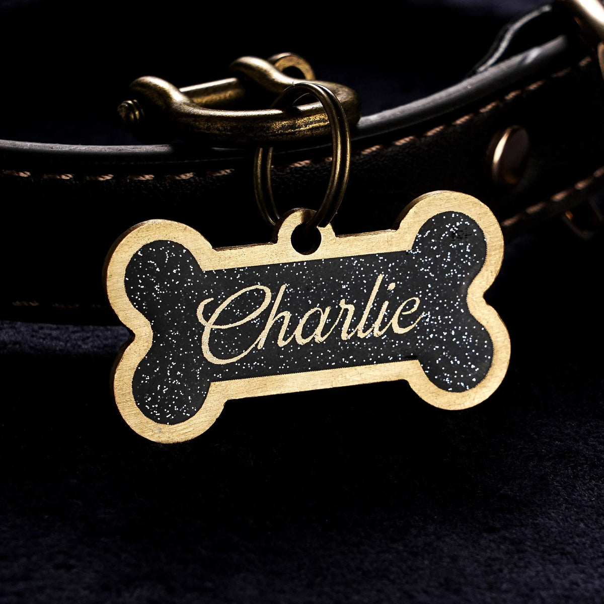 Personalized Brass Dog ID Tag, Custom Resin - ProPawPet.com