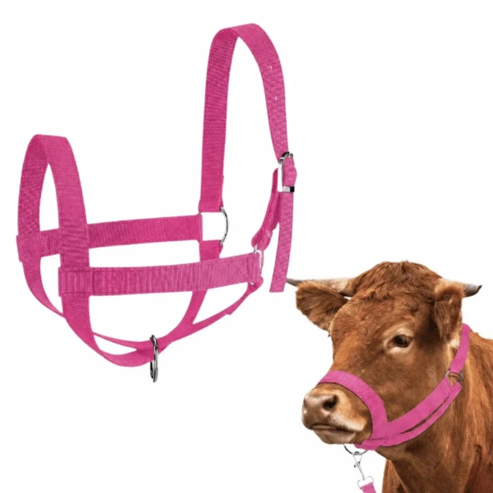 Nylon Adjustable Cow Halter with Lead for Horses