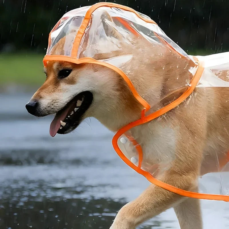 Pet Raincoat Transparent Dog Raincoat - ProPawPet.com